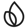 Firebase