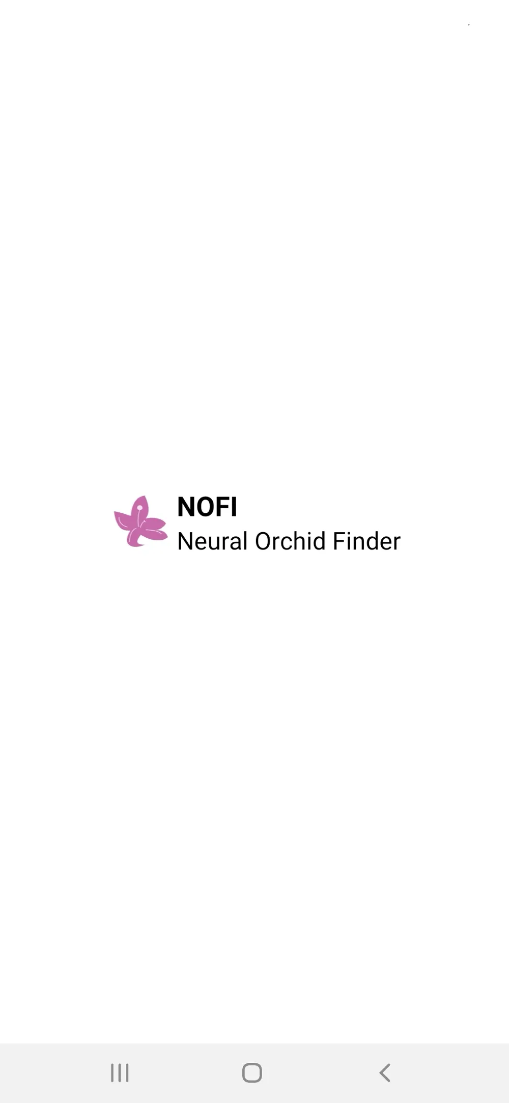 NOFI preview 4
